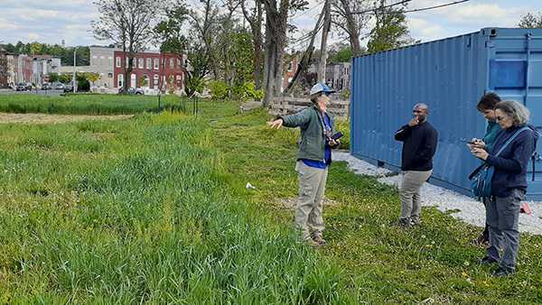 Urban farmer Liz Lamb discusses cover crop strategy with members of the BSEC research team (Image credit: Ben Zaitchik/Johns Hopkins University)