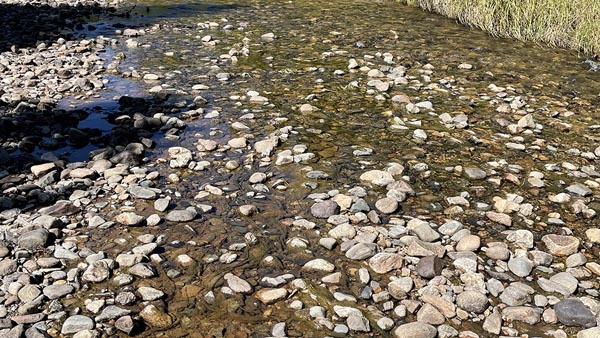 Drought in the Colorado River in Rocky Mountain National Park. (Image by Charuleka Varadharajan, Lawrence Berkeley National Laboratory)