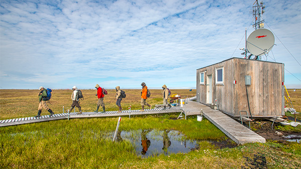 Field site and field crew (Image credit: Oak Ridge National Laboratory)