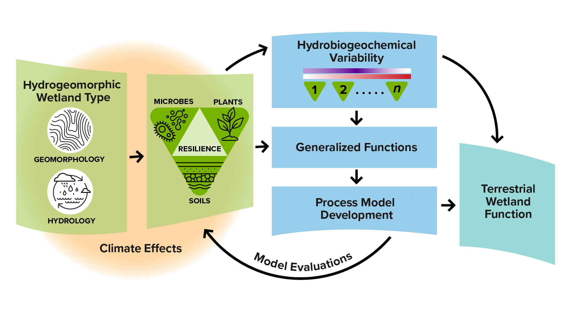 The SFA utilizes the hydrogeomorphic wetland classification, biogeochemistry, and modeling to understand terrestrial wetlands. (Image credit: Wetland Function SFA Team and Argonne’s Creative Services)